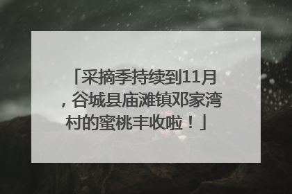 采摘季持续到11月，谷城县庙滩镇邓家湾村的蜜桃丰收啦！