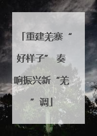 重建羌寨“好样子” 奏响振兴新“羌”调