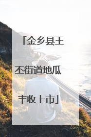 金乡县王丕街道地瓜丰收上市