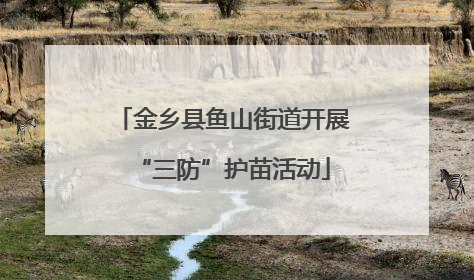 金乡县鱼山街道开展“三防”护苗活动
