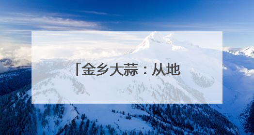 金乡大蒜：从地头到全球“链出”全产业之路