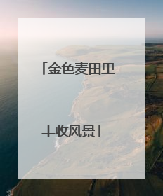 金色麦田里丰收风景