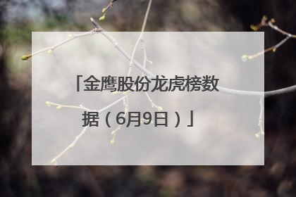 金鹰股份龙虎榜数据（6月9日）