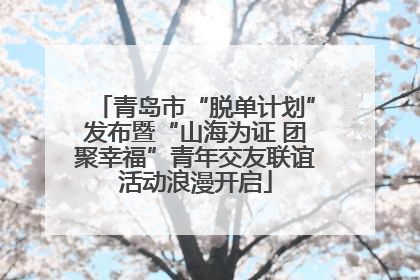 青岛市“脱单计划”发布暨“山海为证 团聚幸福”青年交友联谊活动浪漫开启