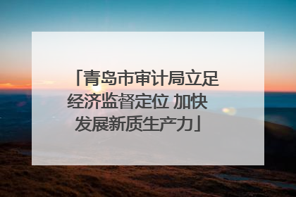 青岛市审计局立足经济监督定位 加快发展新质生产力