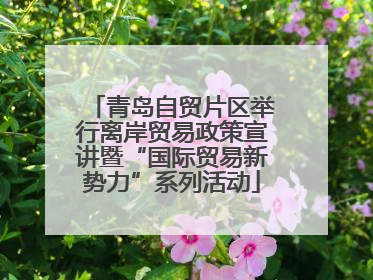 青岛自贸片区举行离岸贸易政策宣讲暨“国际贸易新势力”系列活动