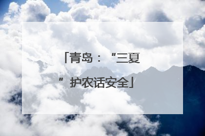 青岛：“三夏”护农话安全