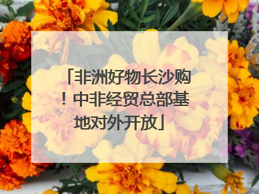 非洲好物长沙购！中非经贸总部基地对外开放