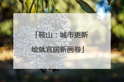 鞍山：城市更新绘就宜居新画卷