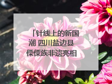 针线上的新国潮 四川盐边县傈僳族非遗亮相西博会｜图集