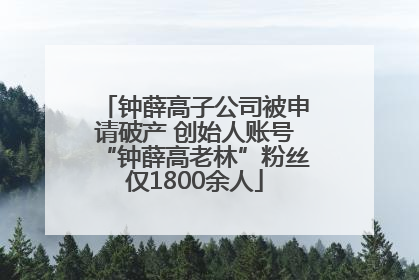 钟薛高子公司被申请破产 创始人账号“钟薛高老林”粉丝仅1800余人