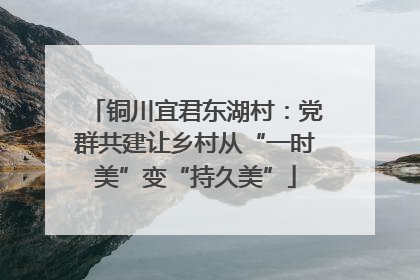 铜川宜君东湖村：党群共建让乡村从“一时美”变“持久美”