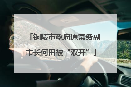 铜陵市政府原常务副市长何田被“双开”