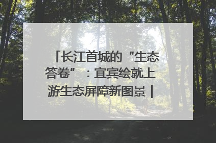 长江首城的“生态答卷”：宜宾绘就上游生态屏障新图景｜中华环保世纪行