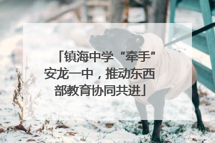镇海中学“牵手”安龙一中，推动东西部教育协同共进