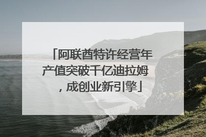 阿联酋特许经营年产值突破千亿迪拉姆，成创业新引擎