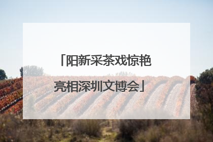阳新采茶戏惊艳亮相深圳文博会