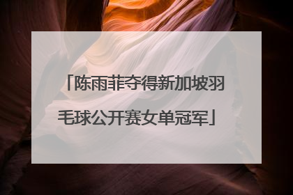 陈雨菲夺得新加坡羽毛球公开赛女单冠军