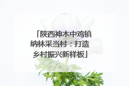 陕西神木中鸡镇纳林采当村：打造乡村振兴新样板