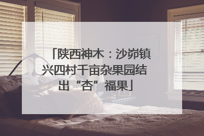 陕西神木：沙峁镇兴四村千亩杂果园结出“杏”福果