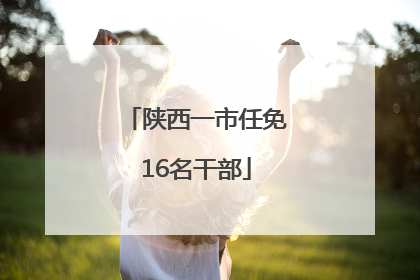 陕西一市任免16名干部