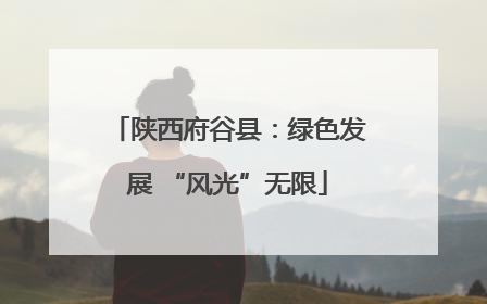 陕西府谷县：绿色发展 “风光”无限