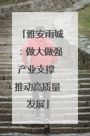 雅安雨城：做大做强产业支撑 推动高质量发展
