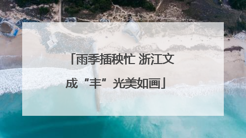 雨季插秧忙 浙江文成“丰”光美如画