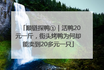 顺链探鸭①｜活鸭20元一斤，街头烤鸭为何却能卖到20多元一只
