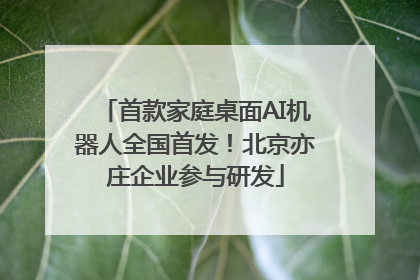首款家庭桌面AI机器人全国首发！北京亦庄企业参与研发