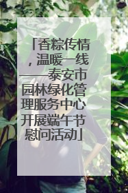 香粽传情，温暖一线——泰安市园林绿化管理服务中心开展端午节慰问活动