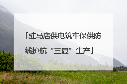 驻马店供电筑牢保供防线护航“三夏”生产