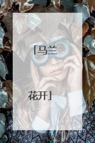 马兰花开