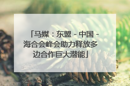 马媒：东盟－中国－海合会峰会助力释放多边合作巨大潜能