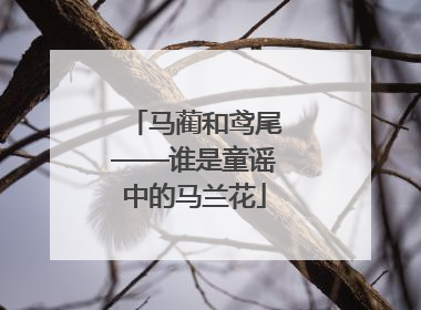 马蔺和鸢尾——谁是童谣中的马兰花