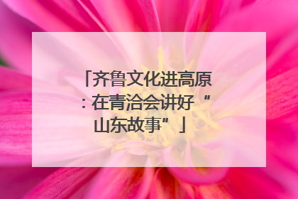 齐鲁文化进高原：在青洽会讲好“山东故事”