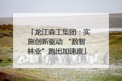 龙江森工集团：实施创新驱动 “数智林业”跑出加速度