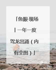 鱼眼·现场丨一年一度 驾龙出涌（内有全图）