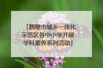 鹤壁市城乡一体化示范区各中小学开展学科素养系列活动