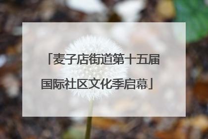 麦子店街道第十五届国际社区文化季启幕