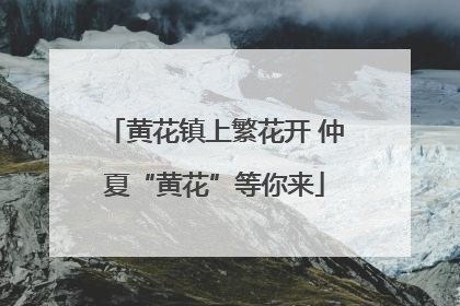 黄花镇上繁花开 仲夏“黄花”等你来