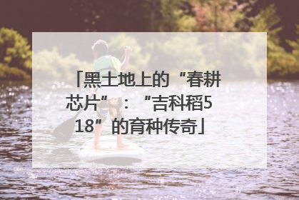 黑土地上的“春耕芯片”：“吉科稻518”的育种传奇