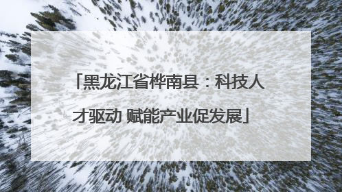黑龙江省桦南县：科技人才驱动 赋能产业促发展