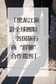 黑龙江旅游全球圈粉：各国旅行商“群聊”合作揽客