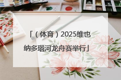 （体育）2025维也纳多瑙河龙舟赛举行