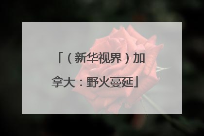 （新华视界）加拿大：野火蔓延
