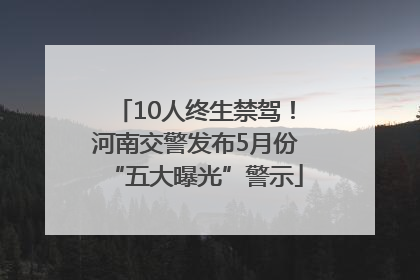 10人终生禁驾！河南交警发布5月份“五大曝光”警示