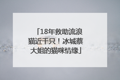 18年救助流浪猫近千只！冰城蔡大姐的猫咪情缘