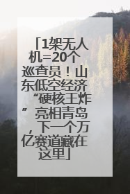 1架无人机=20个巡查员！山东低空经济“硬核王炸”亮相青岛，下一个万亿赛道藏在这里