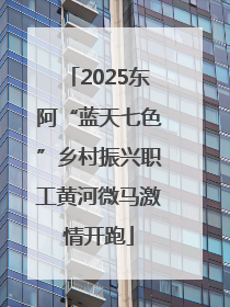 2025东阿“蓝天七色”乡村振兴职工黄河微马激情开跑